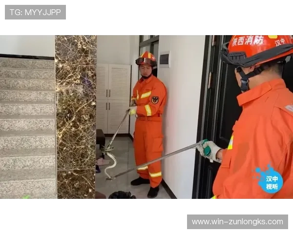 尊龙登录苹果版官网安全保障措施，确保每一位玩家的账户信息与资金安全无忧